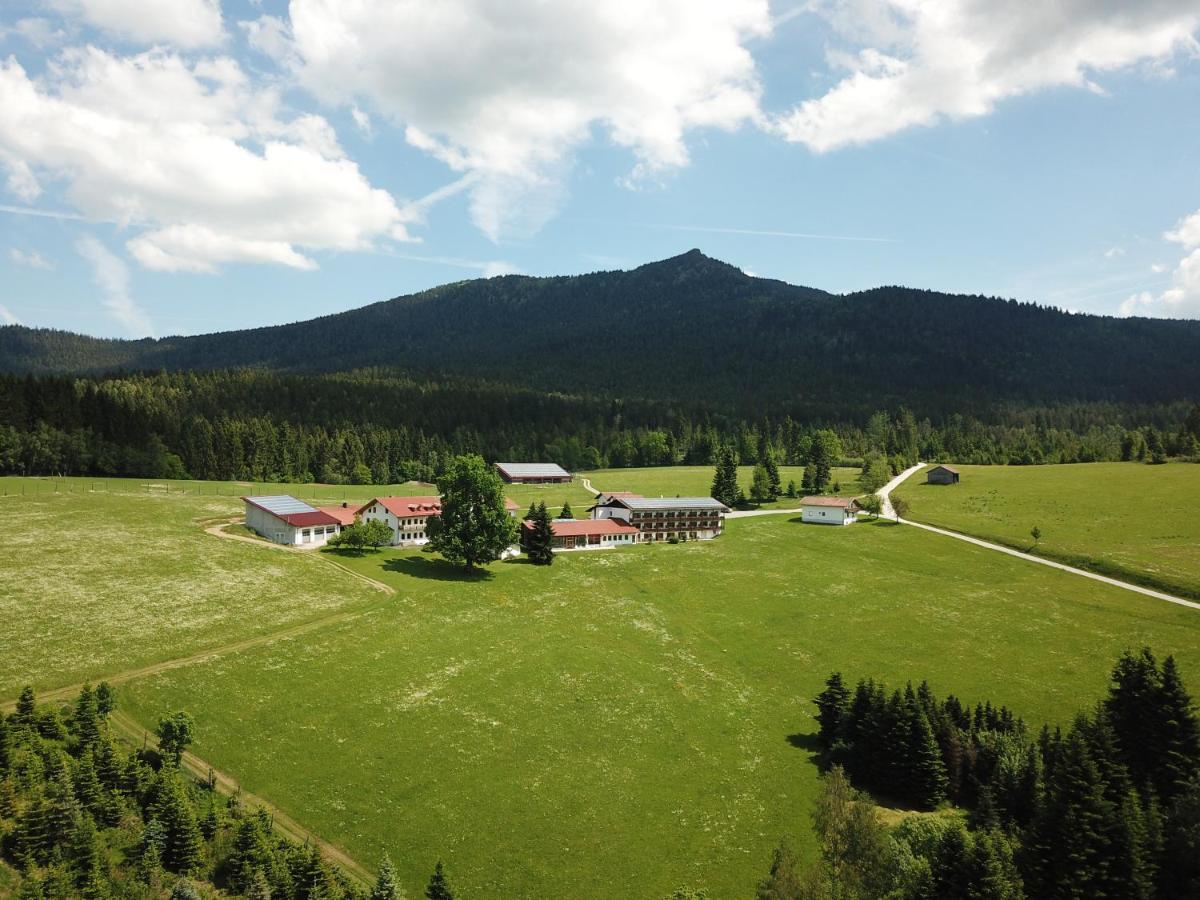 Osserhotel Garni Lohberg Exteriér fotografie