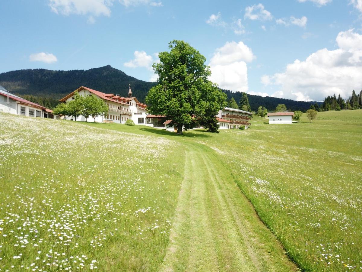 Osserhotel Garni Lohberg Exteriér fotografie