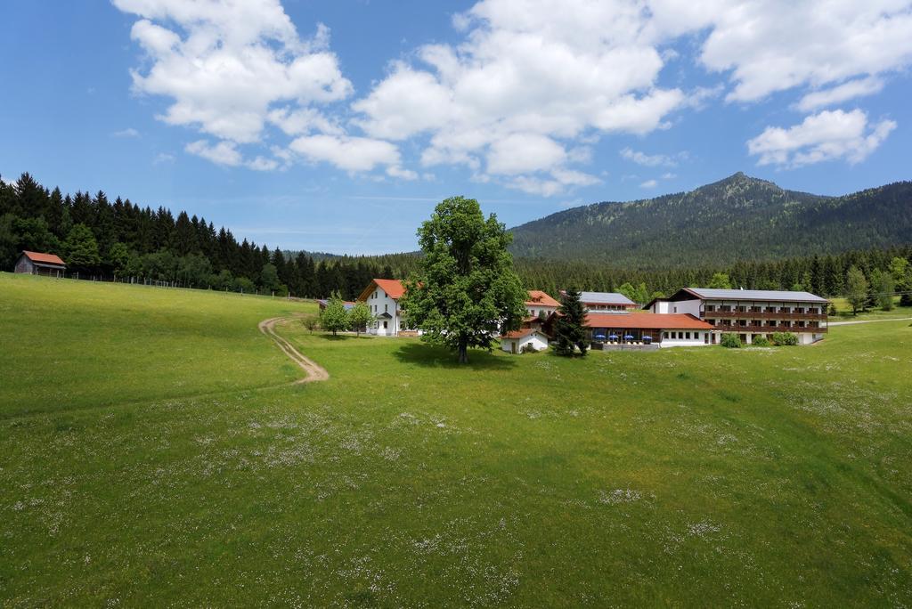Osserhotel Garni Lohberg Exteriér fotografie