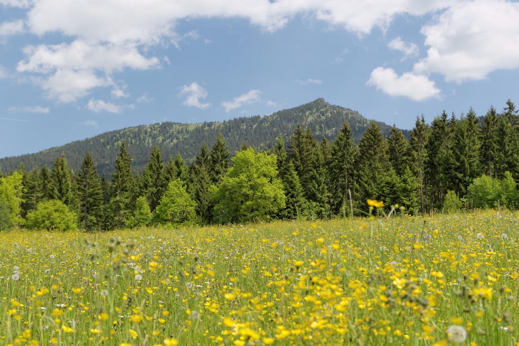 Osserhotel Garni Lohberg Exteriér fotografie
