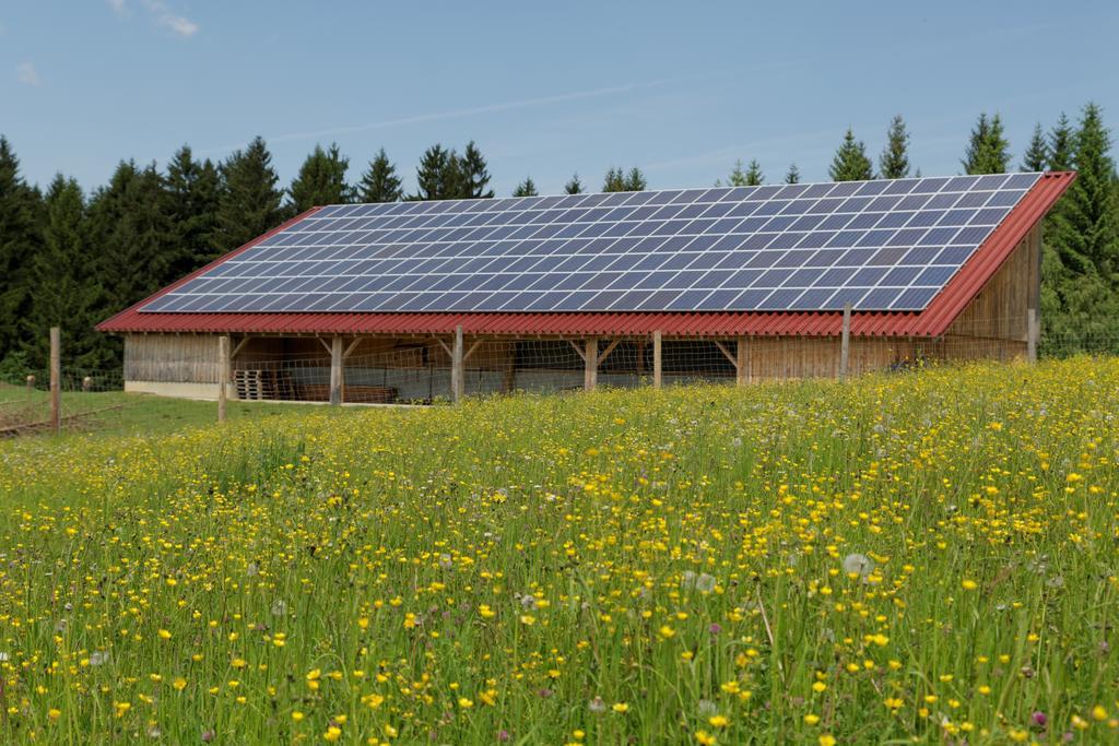 Osserhotel Garni Lohberg Exteriér fotografie