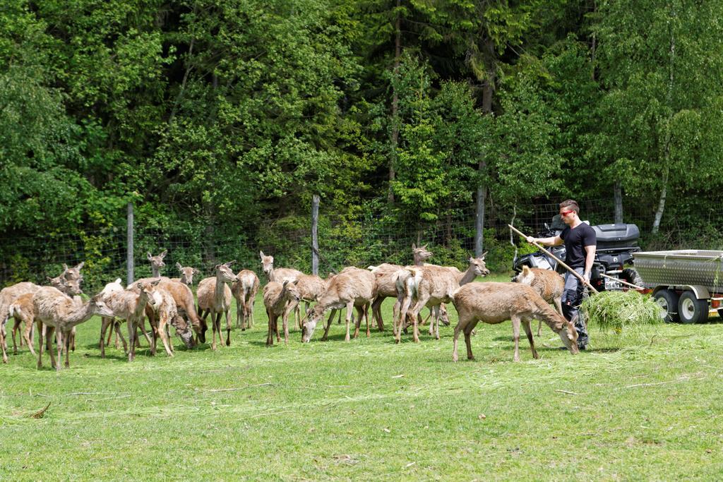 Osserhotel Garni Lohberg Exteriér fotografie