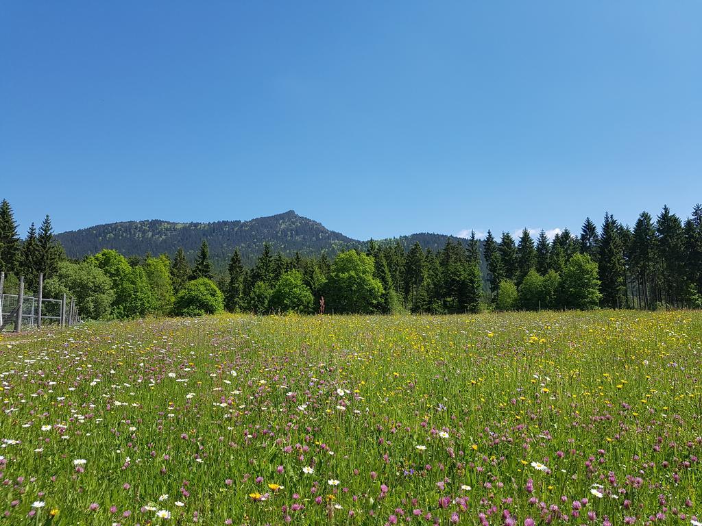 Osserhotel Garni Lohberg Exteriér fotografie