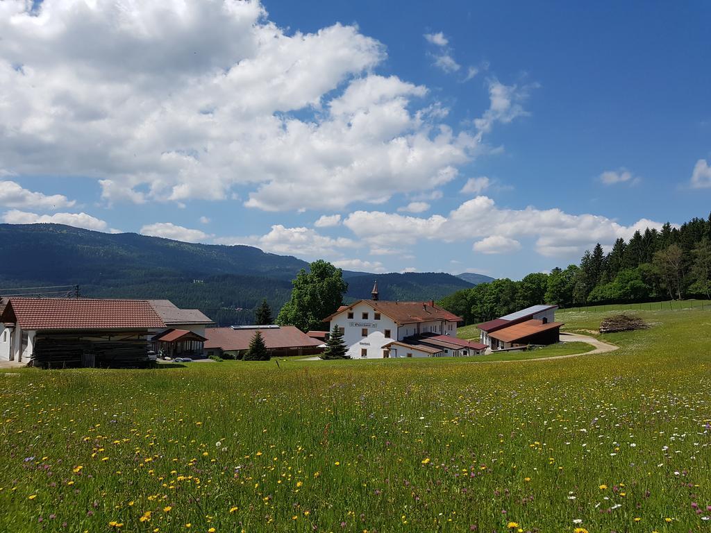 Osserhotel Garni Lohberg Exteriér fotografie